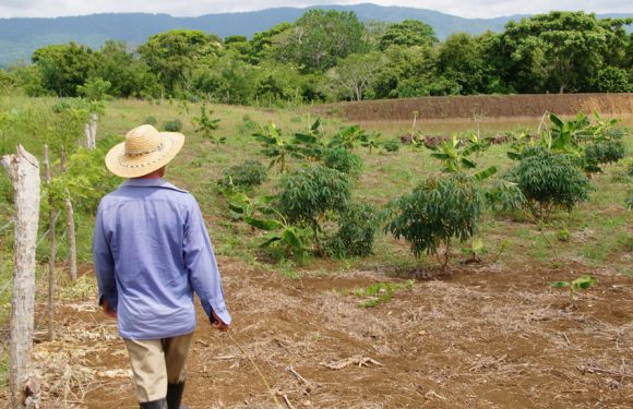 Unidad De Restitución De Tierras Presentará, En 2018, Más De 150 Demandas