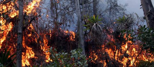 Incendio forestal  En Santa Fe De Antioquia Acaba Con  160 Hectáreas